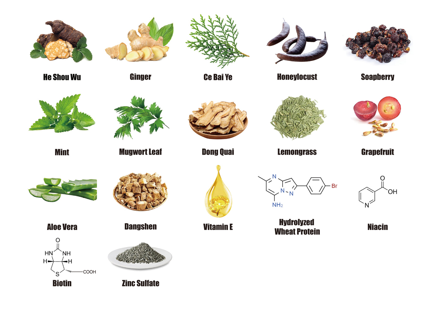 WYB NATURAL Anti-Thinning Biotin Shampoo with 12 Exclusive Herbal Blend