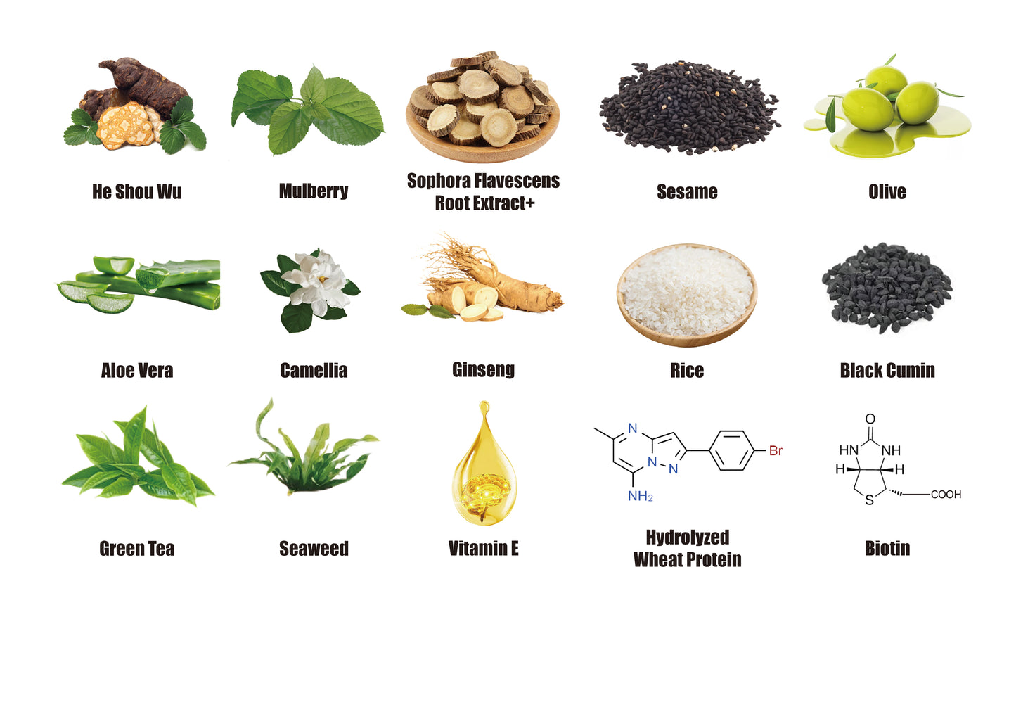 WYB NATURAL Refresh and Thicken Biotin Conditioner with 12 Exclusive Herbal Blend